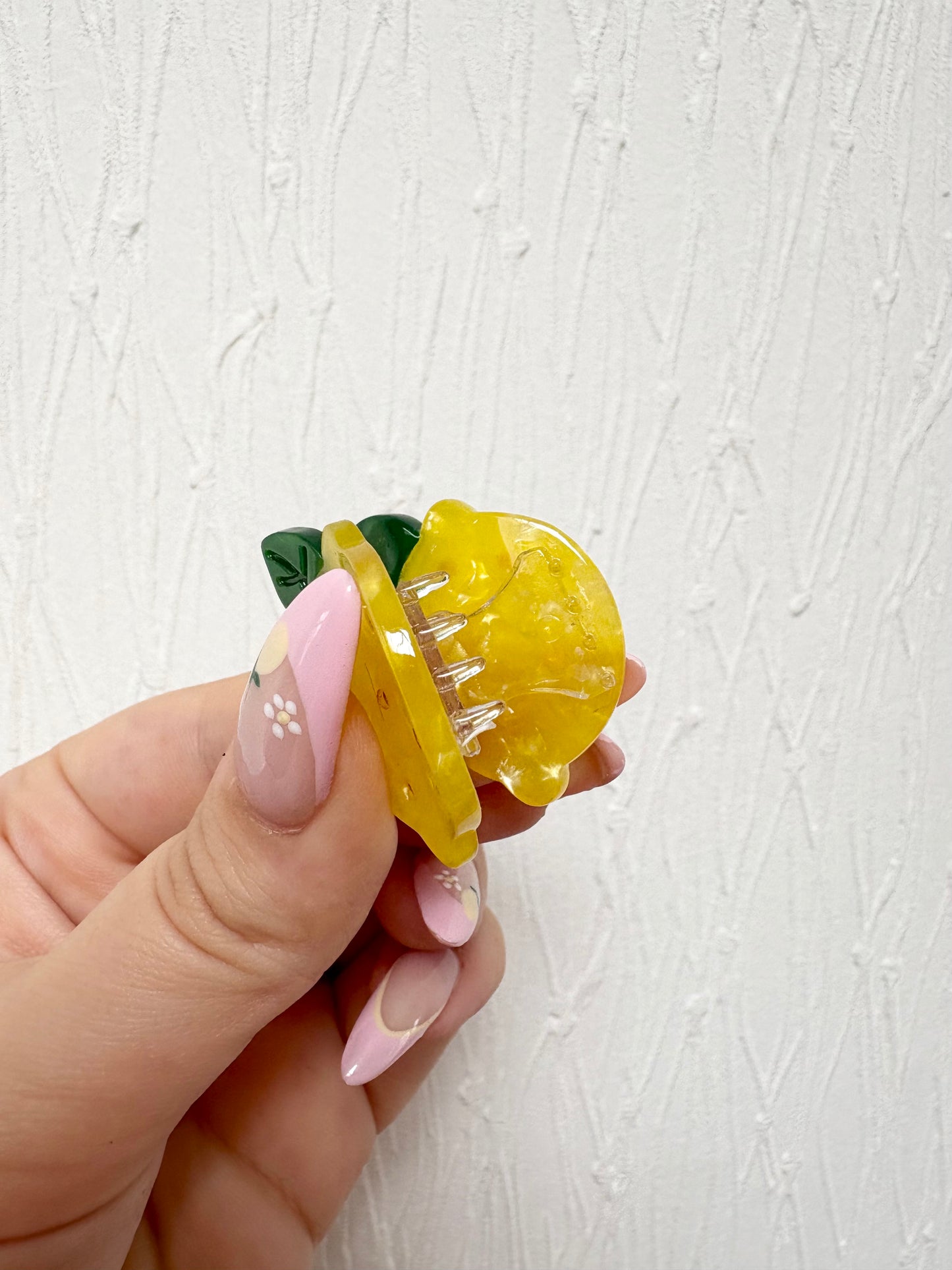 Small Fruit claw clips